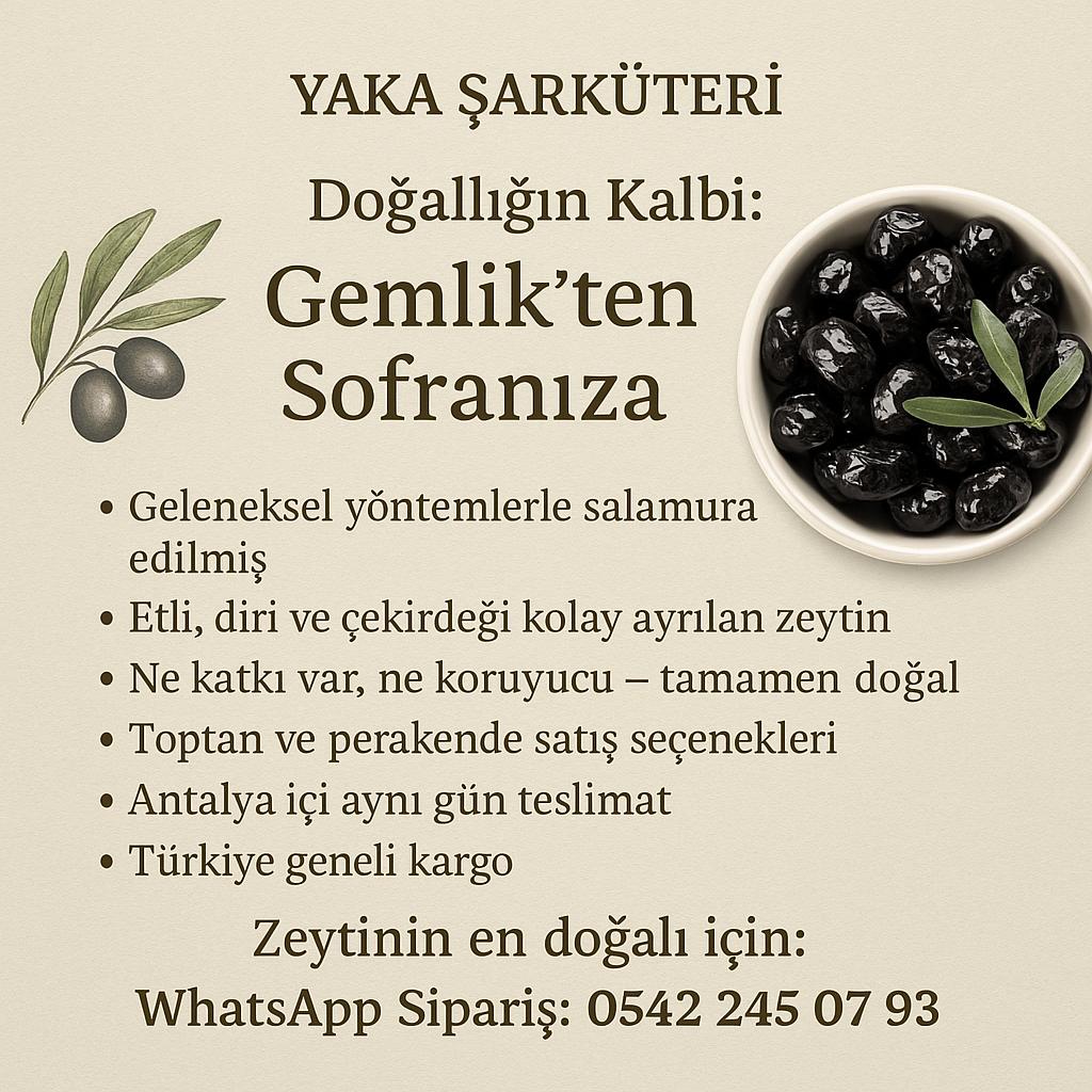 WhatsApp Görsel 2025-04-25 saat 20.28.18_1fba837f